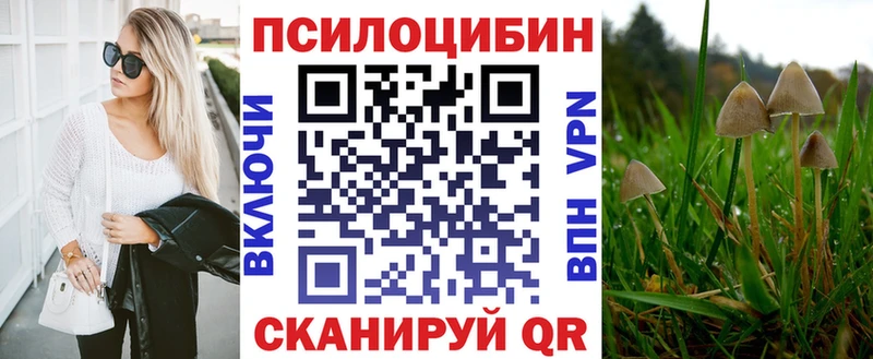 Псилоцибиновые грибы Cubensis  Зея 